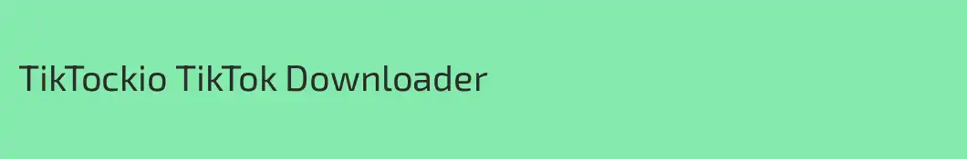 TikTockio TikTok Downloader
